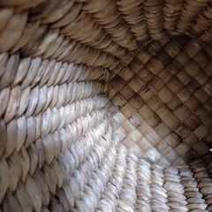 ウォーターヒヤシンス☆ごみ箱☆かごの画像