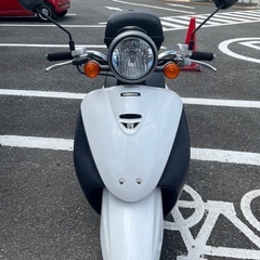 原付　バイク　50cc HONDA TODAY トゥデイ  の画像