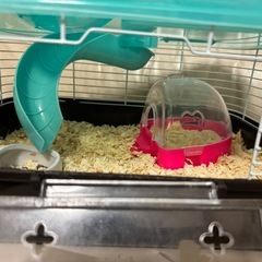 ハムスターゲージセットの画像