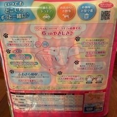 マナーウェア　女の子用　34枚　の画像