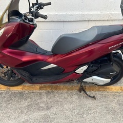 ホンダPCX JF81