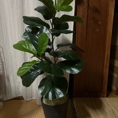 フェイクグリーンの画像