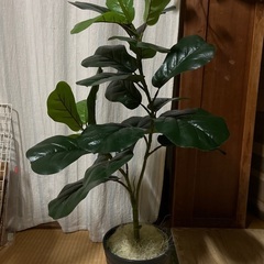 フェイクグリーン