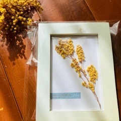 💛ミモザのフレームアレンジ💛の画像