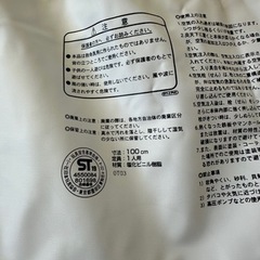 【美品】浮き輪100センチ　最終価格❗️の画像