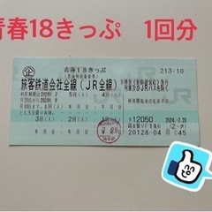受け渡し予定者決まりました。2024年夏青春18きっぷ　1回分9...
