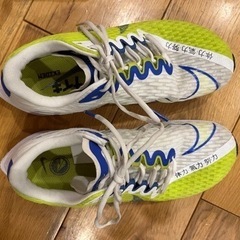 NIKE ランニングシューズ　24.0cm zoom ライバルフライ2