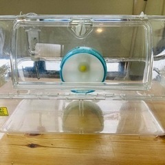 🐹取引中🐹ハムスター　飼育セット　ルーミィ　サイレントホイール