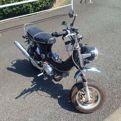 キットバイク　シャリー風　125登録　現金払い変更可　東京都　練馬区の画像