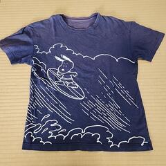 Tシャツ3点の画像