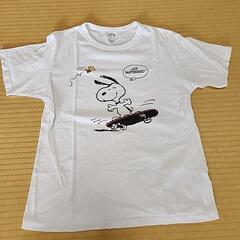 Tシャツ3点の画像