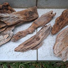 流木　１７点セットの画像