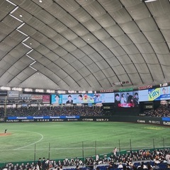 9月再始動！年会費3000円！男女問わず選手募集中！！ - 文京区