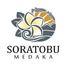※急募※　好待遇の稼げるお仕事募集★【介護/夜勤専属】