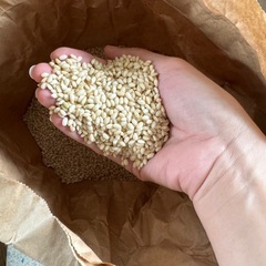もち米　玄米　10kg  　　の画像