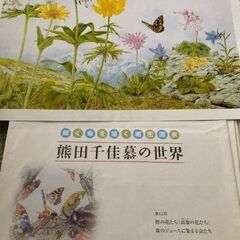 朝日新聞　額絵シリーズの画像