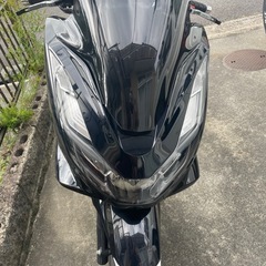 PCX125  
