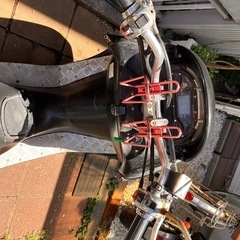［購入者様決定］コマジェ　　 の画像