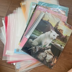 クリアファイル たくさん！
