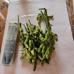 新鮮野菜　枝豆1さや200円が2つ(農薬不使用)