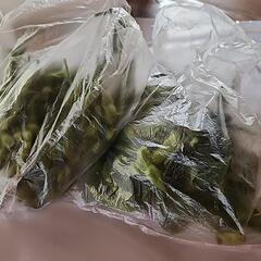 新鮮野菜　枝豆1さや200円が2つ(農薬不使用)の画像
