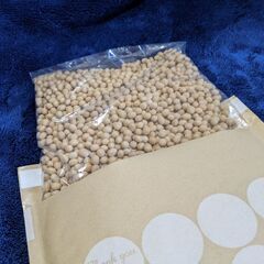 有機特別栽培　有機JAS認定品100％　500G　乾燥大豆