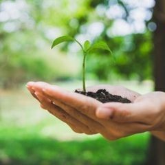 🌿人生の選択肢増やしてみませんか？🌿