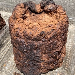 農家さん必見！廃菌床お譲りいたします