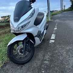 HONDA  PCX125  JF81