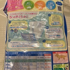マナーウェア SSサイズ 男の子用の画像