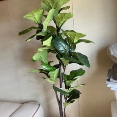 フェークグリーン