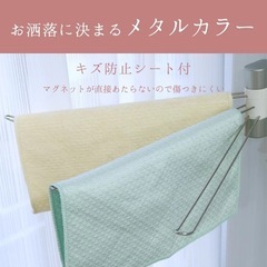 ステンレス ふきん掛け ウルトラマグネットタイプの画像