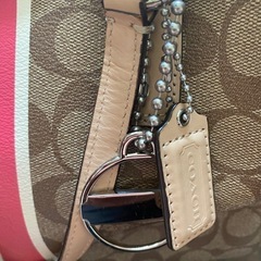 🦋coachショルダーバック🦋の画像