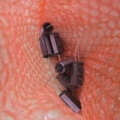 電解コンデンサ　7個入り　５０V　2700 µFです。　EKYB500ELL272MMP1Sの画像