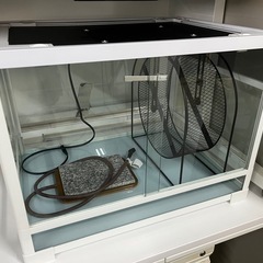 ガラス製高級ケージ/ヒーター付