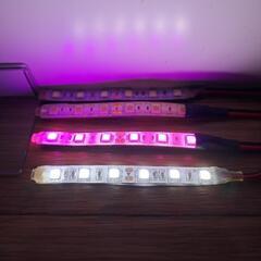 10cm LEDテープ  カラー  ホワイト2本、パープル2本セットの画像