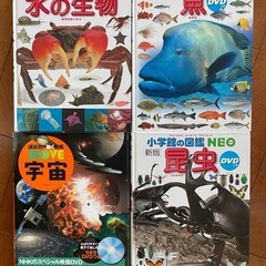 図鑑4冊セット(魚、水の生物、昆虫、宇宙)
