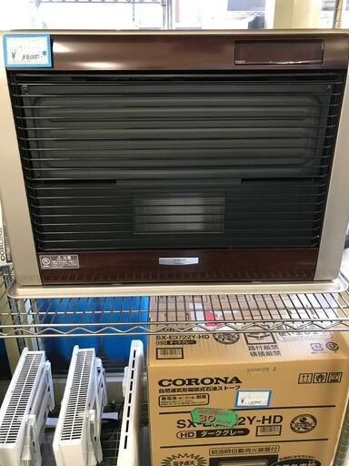 コロナ！アグレシオ入荷してます。例年早期売り切れます！お早めにお越しください(^^♪