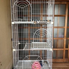 猫ゲージ　3段　決まりました
