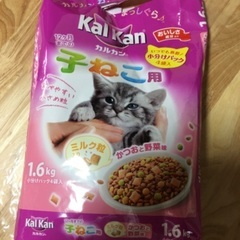 仔猫用カリカリご飯