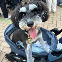 🐾犬友募集🐶