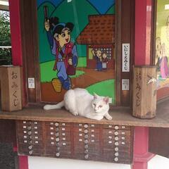 二者択一占い🔯🔮