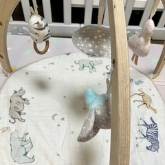 aden+anais（エイデンアンドアネイ）アクティビティジムの画像