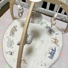 aden+anais（エイデンアンドアネイ）アクティビティジムの画像