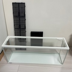 GEX 水槽 60cm スリム型 アクアリウム⑧