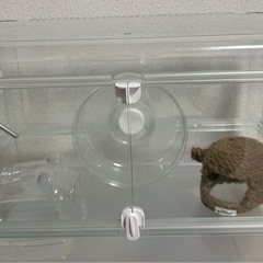 ✨ハムスター飼育セット✨(2ヶ月前に新品購入！)