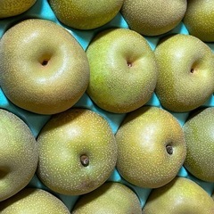 石岡梨幸水5kg
