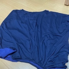 最終値下 
青いTシャツの画像