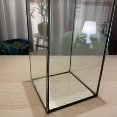 ベタ　熱帯魚　アクアリウム　水槽