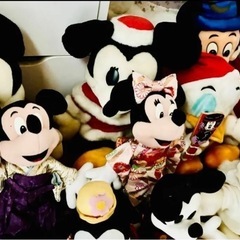 ディズニーランド　ぬいぐるみ　14体　レアの画像
